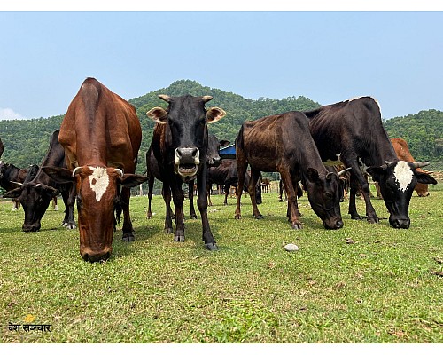 Agriculture Solutions