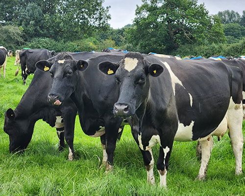 Agriculture Solutions