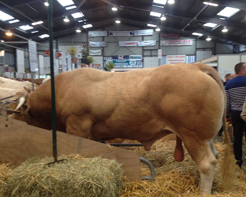 Agriculture Solutions